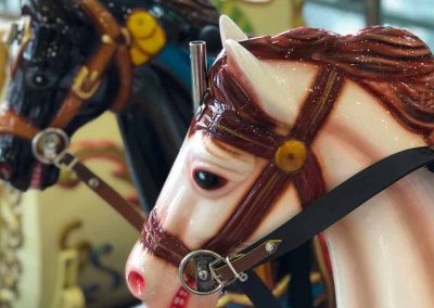 Carnival Kingdom carousel ride